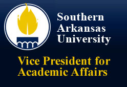 Vice President for Academic Affairs - SAU