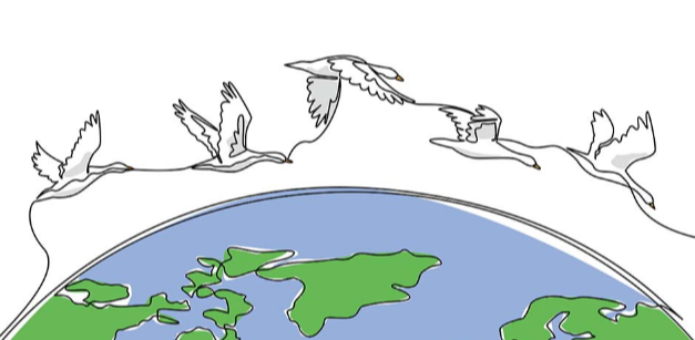 When the Ground Shifts, We Migrate