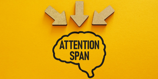 The Research Behind Attention — And What It Means for Teaching