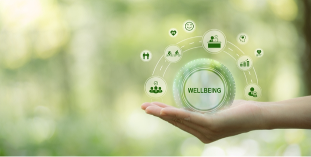 Embedding Well-Being into Career Services
