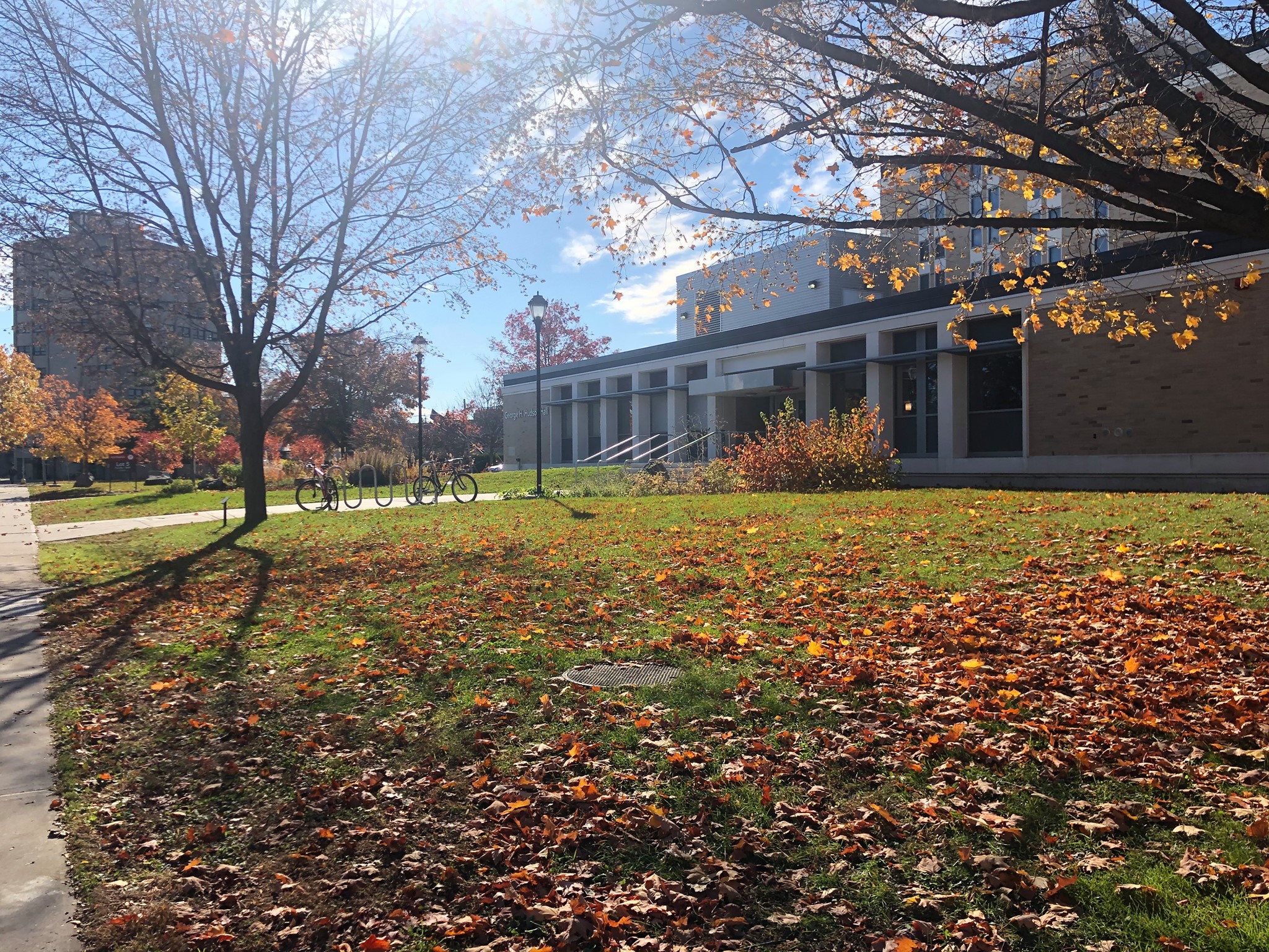 Indeed Plattsburgh Jobs - 8xzu403