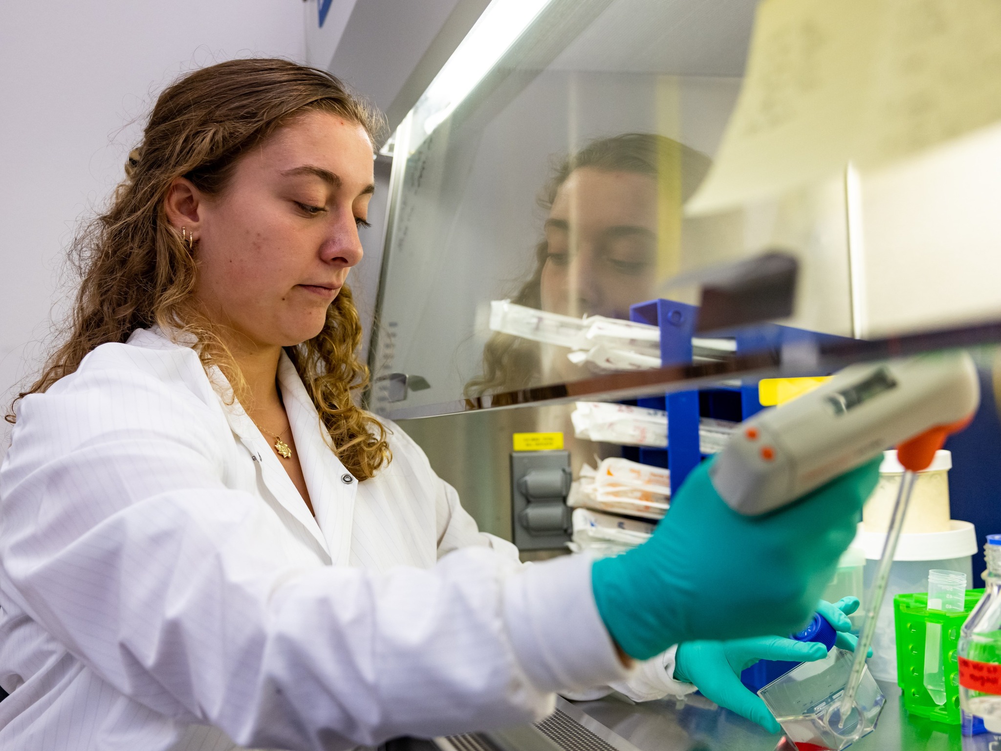 Profile for Endicott College HigherEdJobs