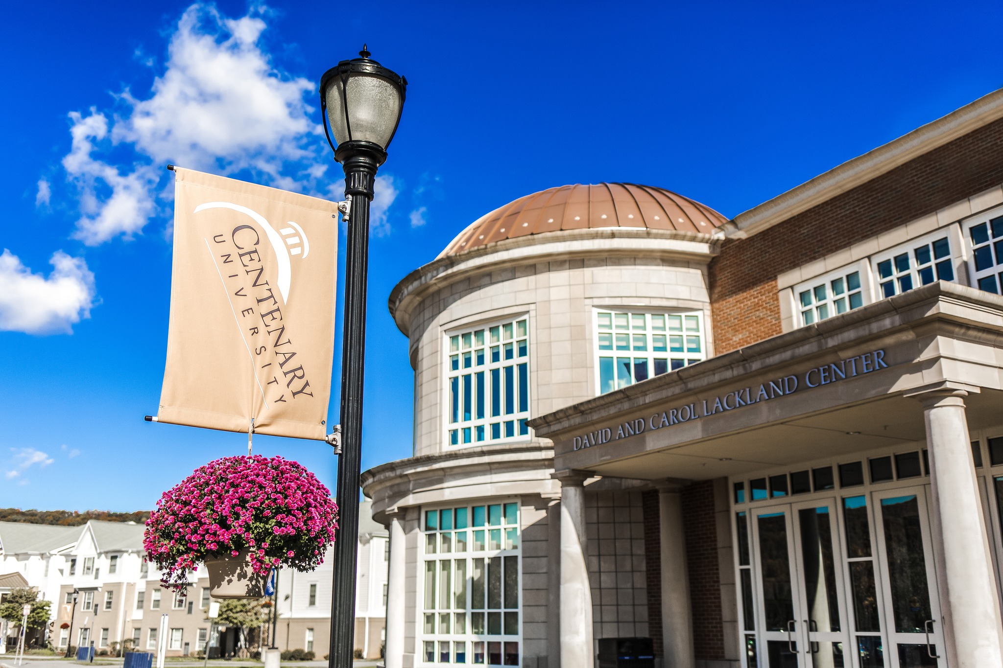 Profile for Centenary University HigherEdJobs