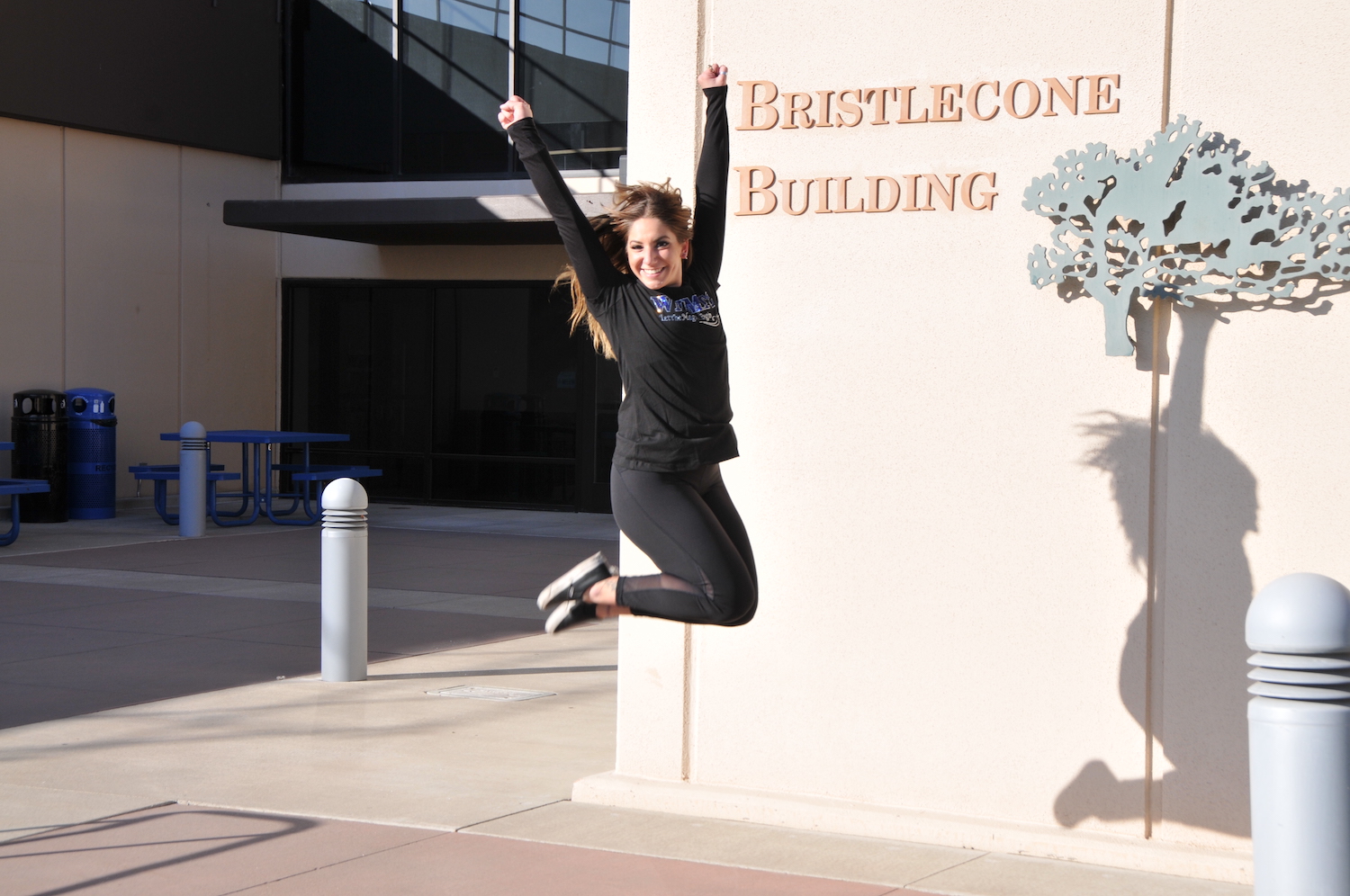 Profile for Western Nevada College HigherEdJobs