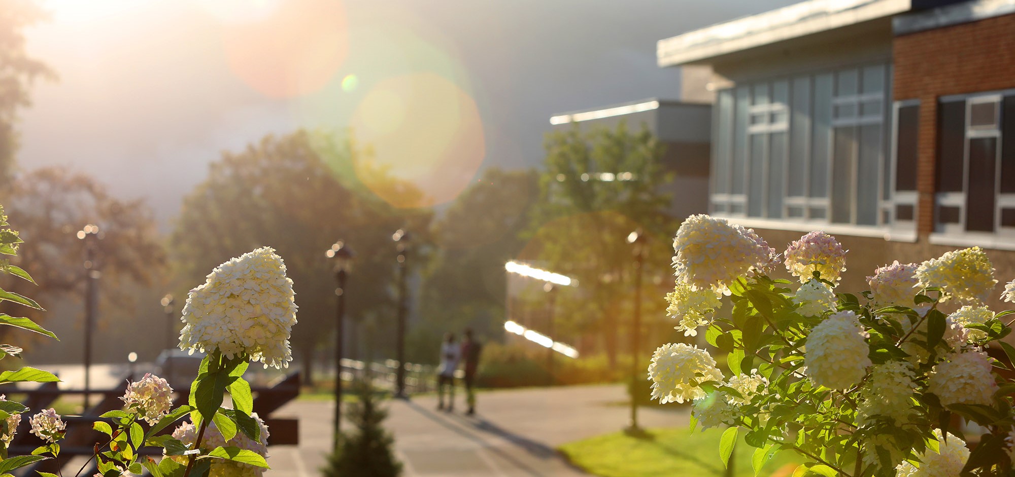 Profile for SUNY Delhi HigherEdJobs